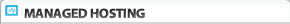 Managed Hosting
